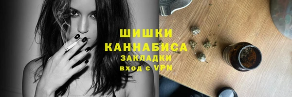 соль ск Касимов