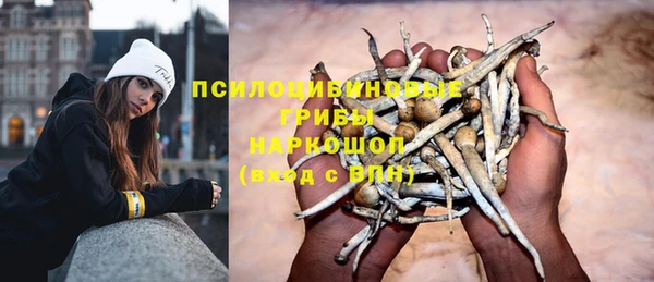 первитин Киреевск