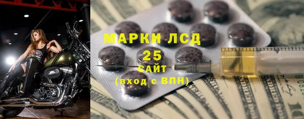ПСИЛОЦИБИНОВЫЕ ГРИБЫ Каменка
