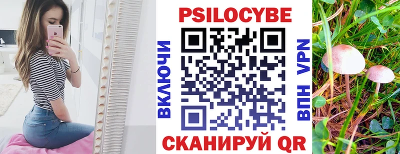 дарнет шоп  Краснозаводск  Псилоцибиновые грибы Psilocybine cubensis 